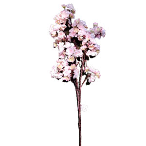 Vara de flor