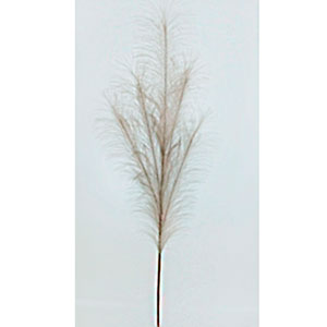 Vara de plumas gris