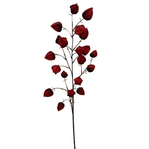 Vara con flores linterna
