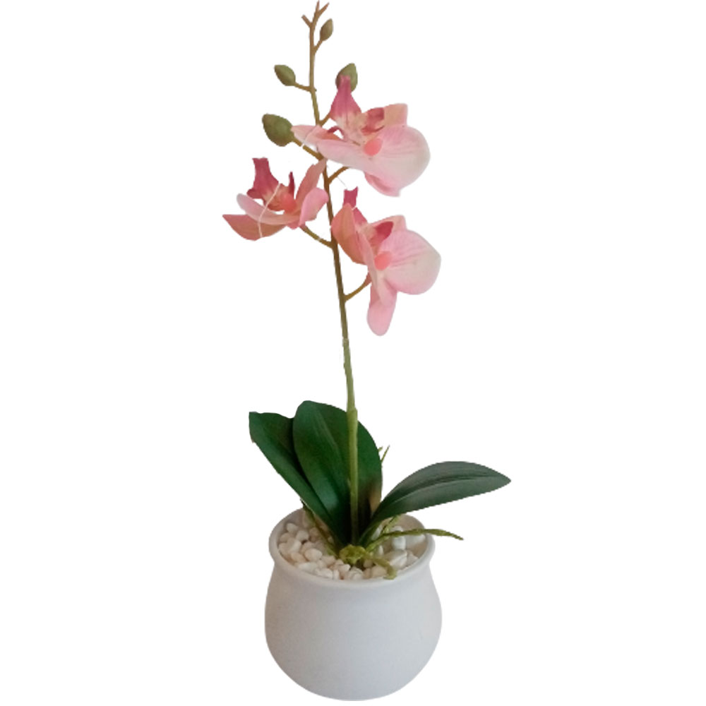 Flor de orquídea rosa - Galerías el Triunfo - 022032494059