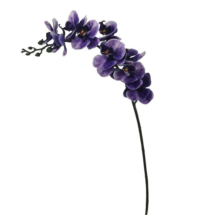 Vara de orquídea púrpura - Galerías el Triunfo - 022032494065