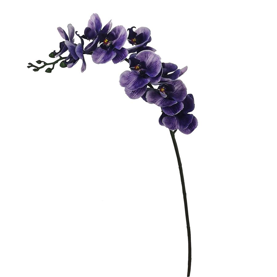 Vara de orquídea púrpura - Galerías el Triunfo - 022032494065