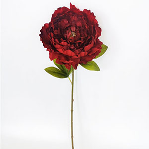 Vara de flor Peoina