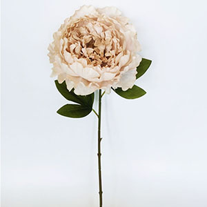 Vara de flor Peoina