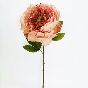 Vara de flor Peoina