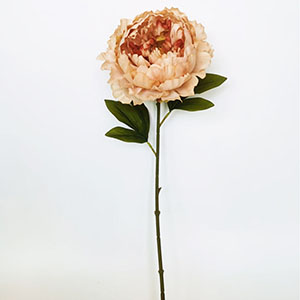 Vara de flor Peonía