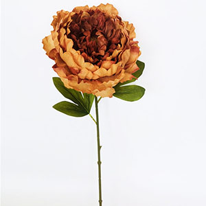 Vara de flor Peonía