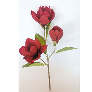 Varas con 3 Magnolias