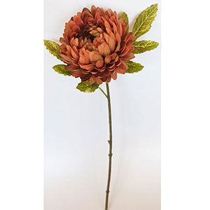 Vara de flor Caléndula