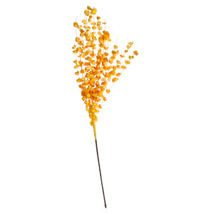 Vara con flores desérticas - Galerías el Triunfo - 024071028182