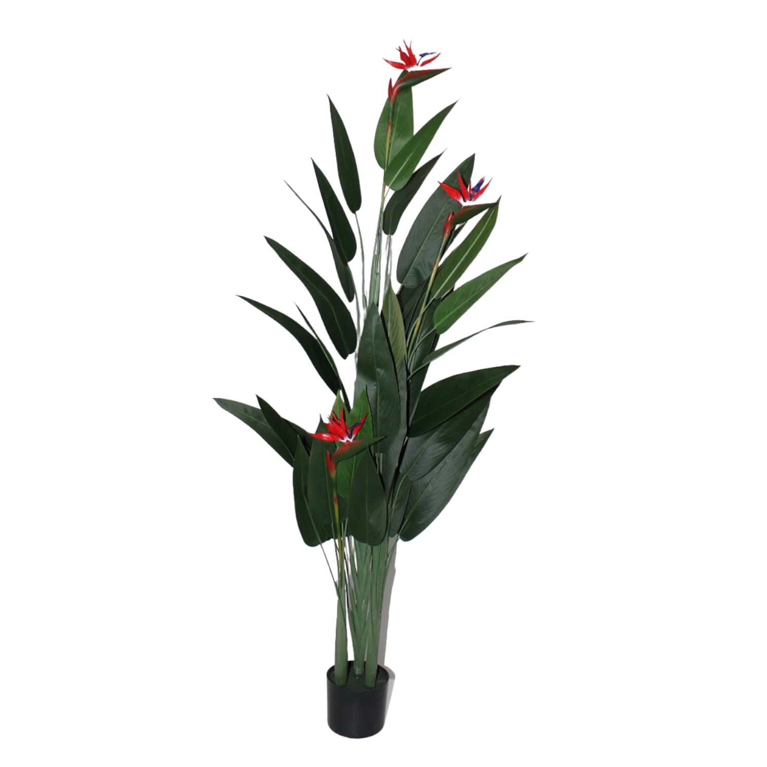 Planta de Ave del - Galerías el Triunfo - 025072097075