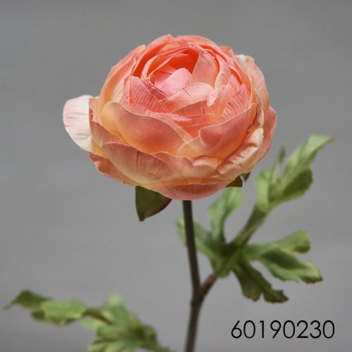 Flor de camelia seca