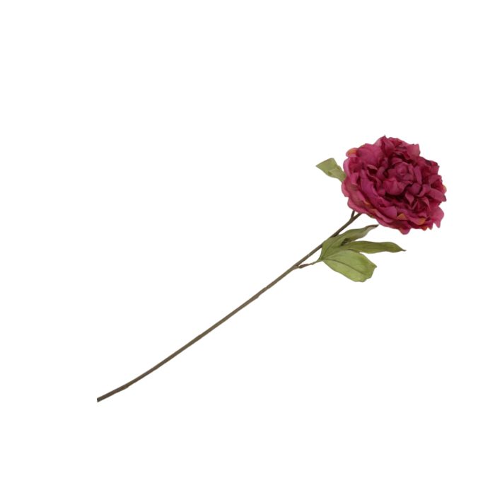 Flor de peonía seca - Galerías el Triunfo - 025072097102