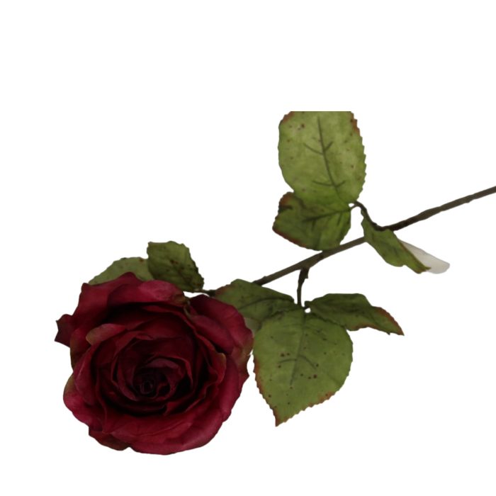Flores secas de Rose - Image 2