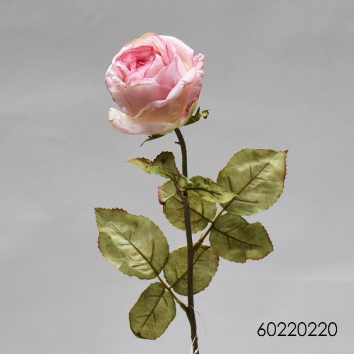 Flores secas de Rose - Galerías el Triunfo - 025072097105