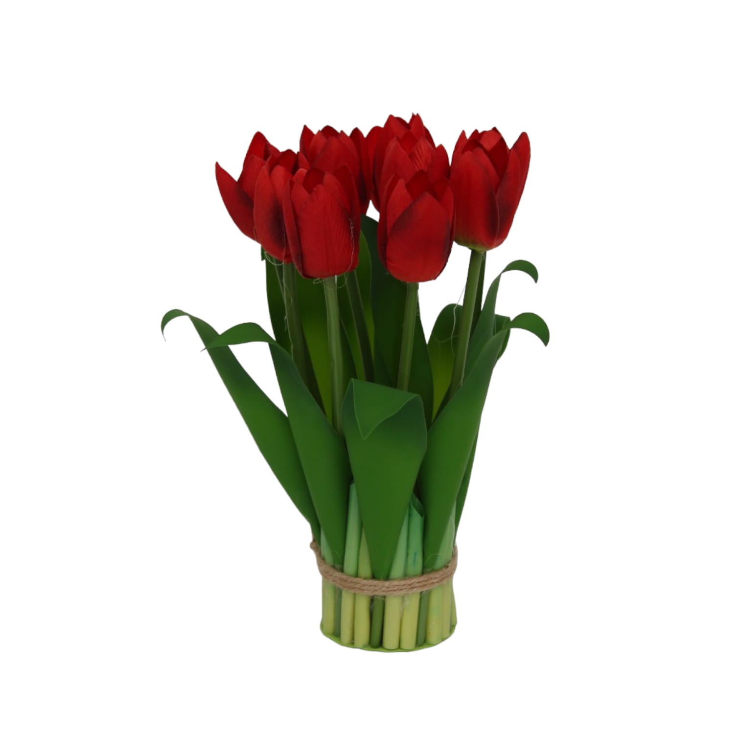Ramo de 9 tulipanes - Galerías el Triunfo - 025072097122