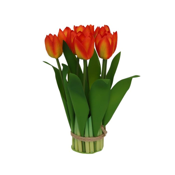 Ramo de 9 tulipanes - Galerías el Triunfo - 025072097123