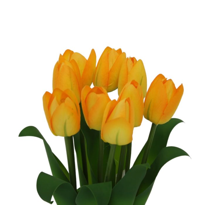 Ramo de 9 tulipanes - Image 2