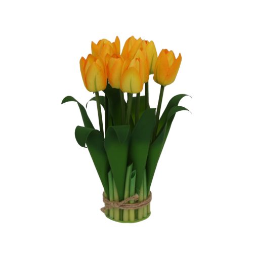 Ramo de 9 tulipanes
