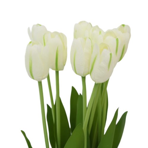 Ramo de 10 tulipanes