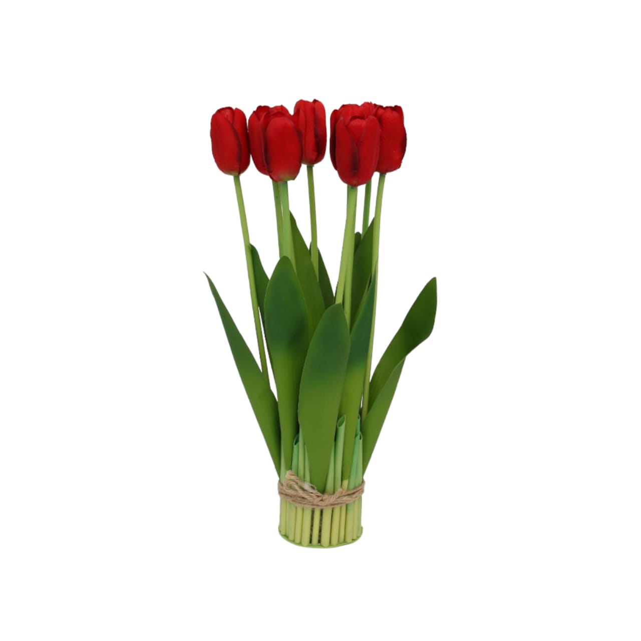 Ramo de 10 tulipanes - Galerías el Triunfo - 025072097133
