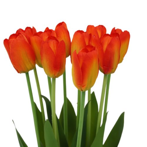 Ramo de 10 tulipanes