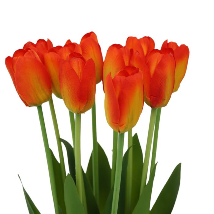 Ramo de 10 tulipanes - Image 2