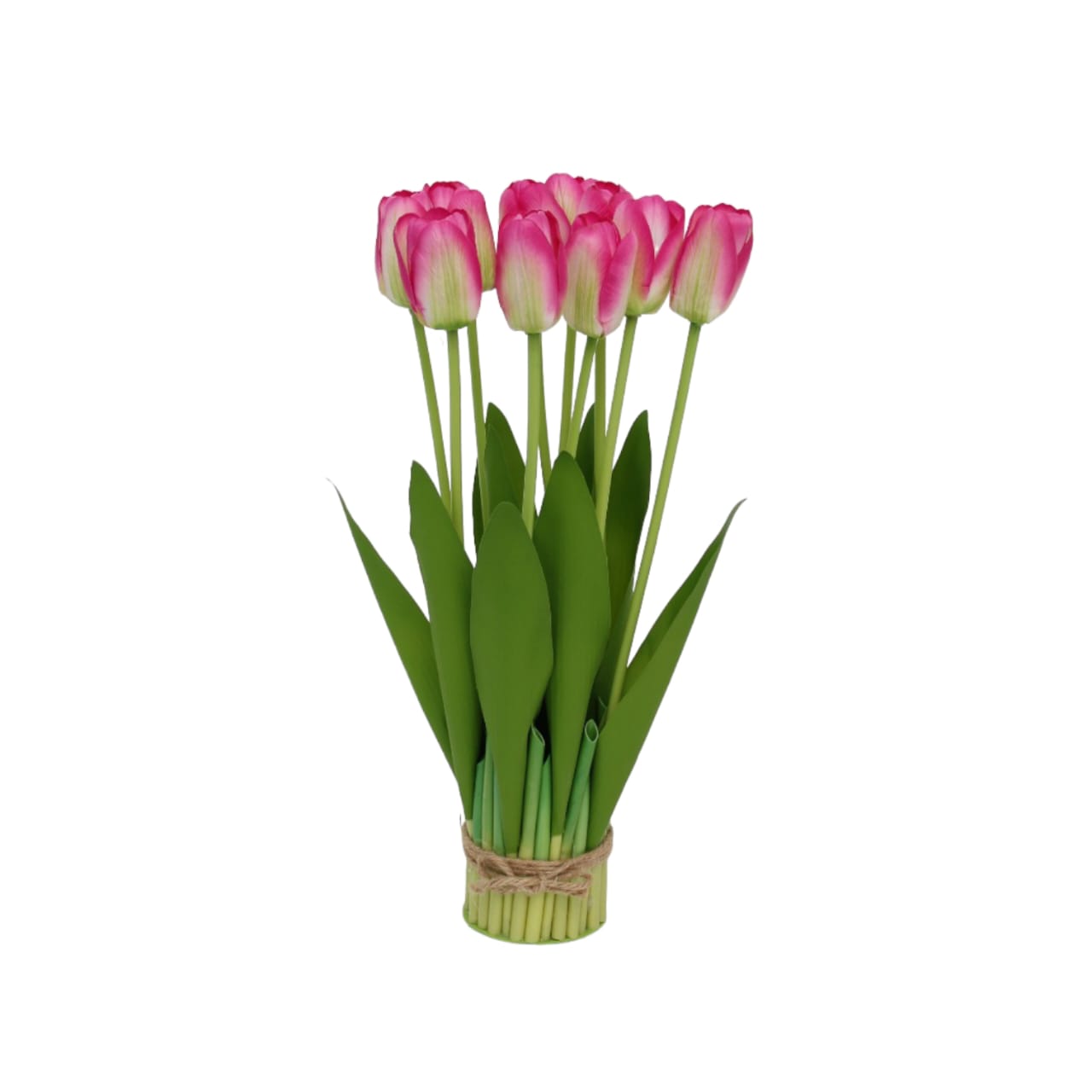 Ramo de 10 tulipanes - Galerías el Triunfo - 025072097136