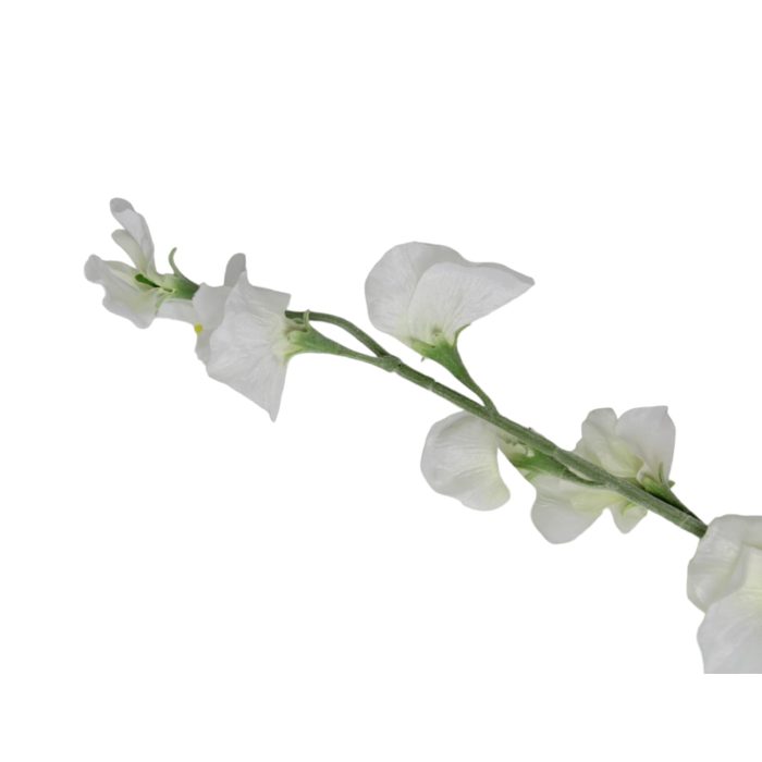 Flores blancas de 10x10x64 - Image 2