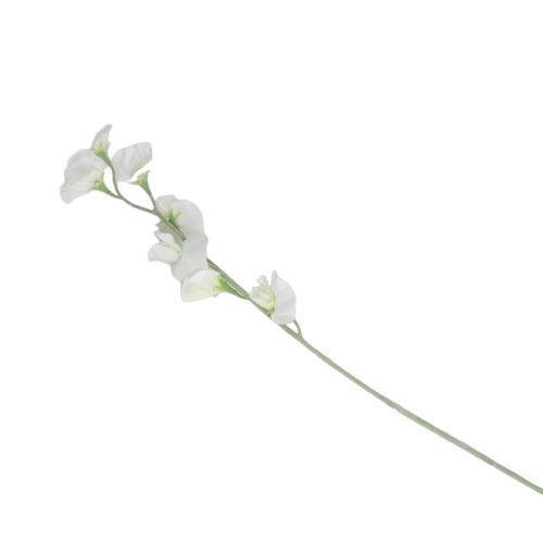 Flores blancas de 10x10x64