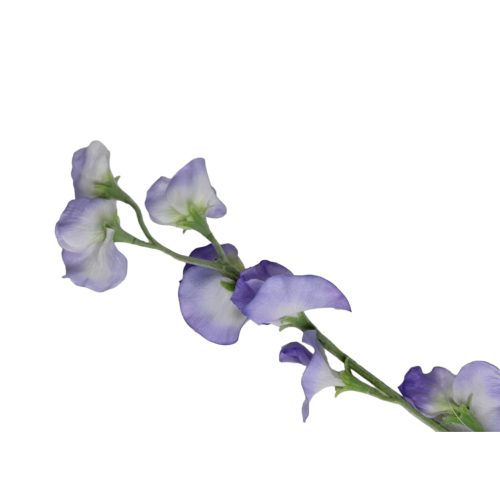 Flores lilas de 10x10x64