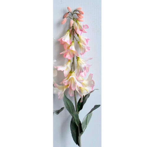 Flor de campanillas rosa
