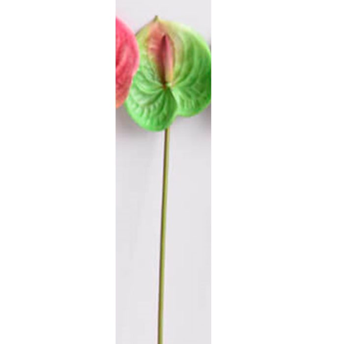Flor de anturio verde - Galerías el Triunfo - 025072097166