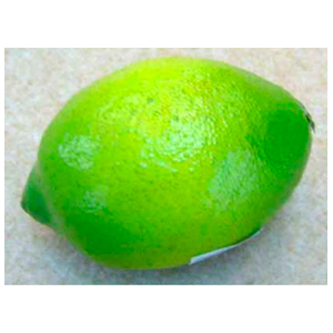 Limón
