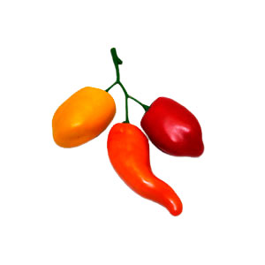 Rama con 3 chiles