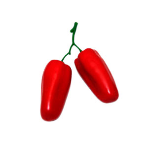 Rama con 2 chiles - Galerías el Triunfo - 028071005091