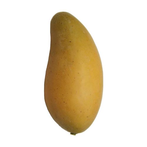Mango manila de latex