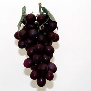 Ramo de uvas vino