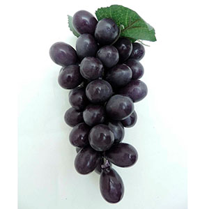 Ramo de uvas moradas