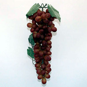 Ramo largo de uvas