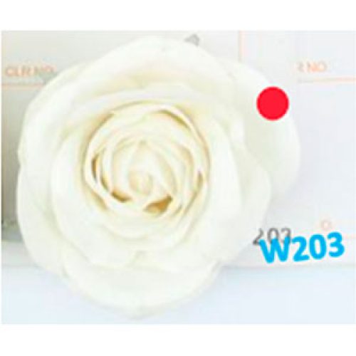 Flor rosa blanca