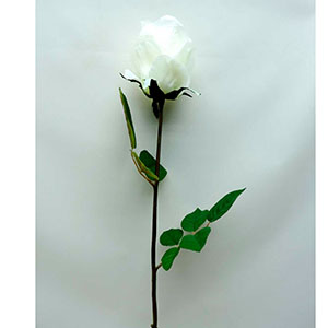 Flor con rosa blanca