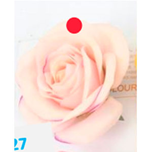 Vara con rosa color