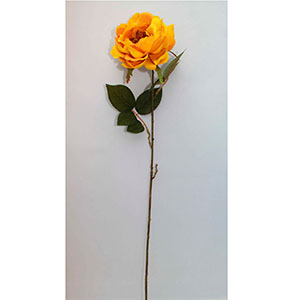 Flor con rosa amarilla