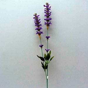 Vara con flor caspia