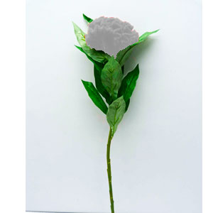 Vara con flor blanca