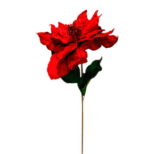 Vara con nochebuena roja