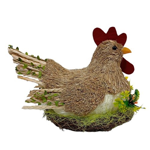 Gallina de fibras naturales
