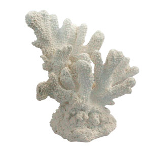 Coral de porcelana blanco