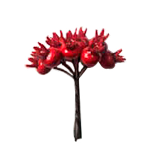 Bonche de granadas rojas